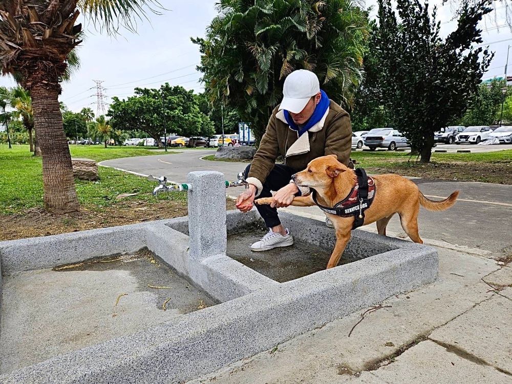 更新安全圍籬 綠寶石寵物公園讓毛孩盡情奔跑 1 《圖說》綠寶石寵物公園113年增加洗腳區+提供毛孩更優質的使用條件。〈高灘處提供〉